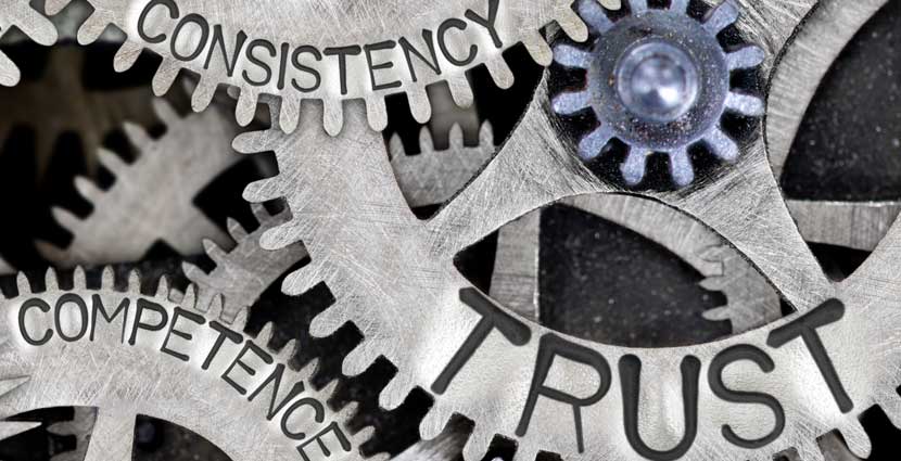 Litigation & Expert Witness Services